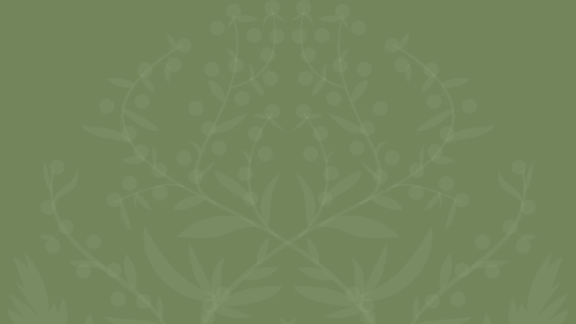 Риносептопластика