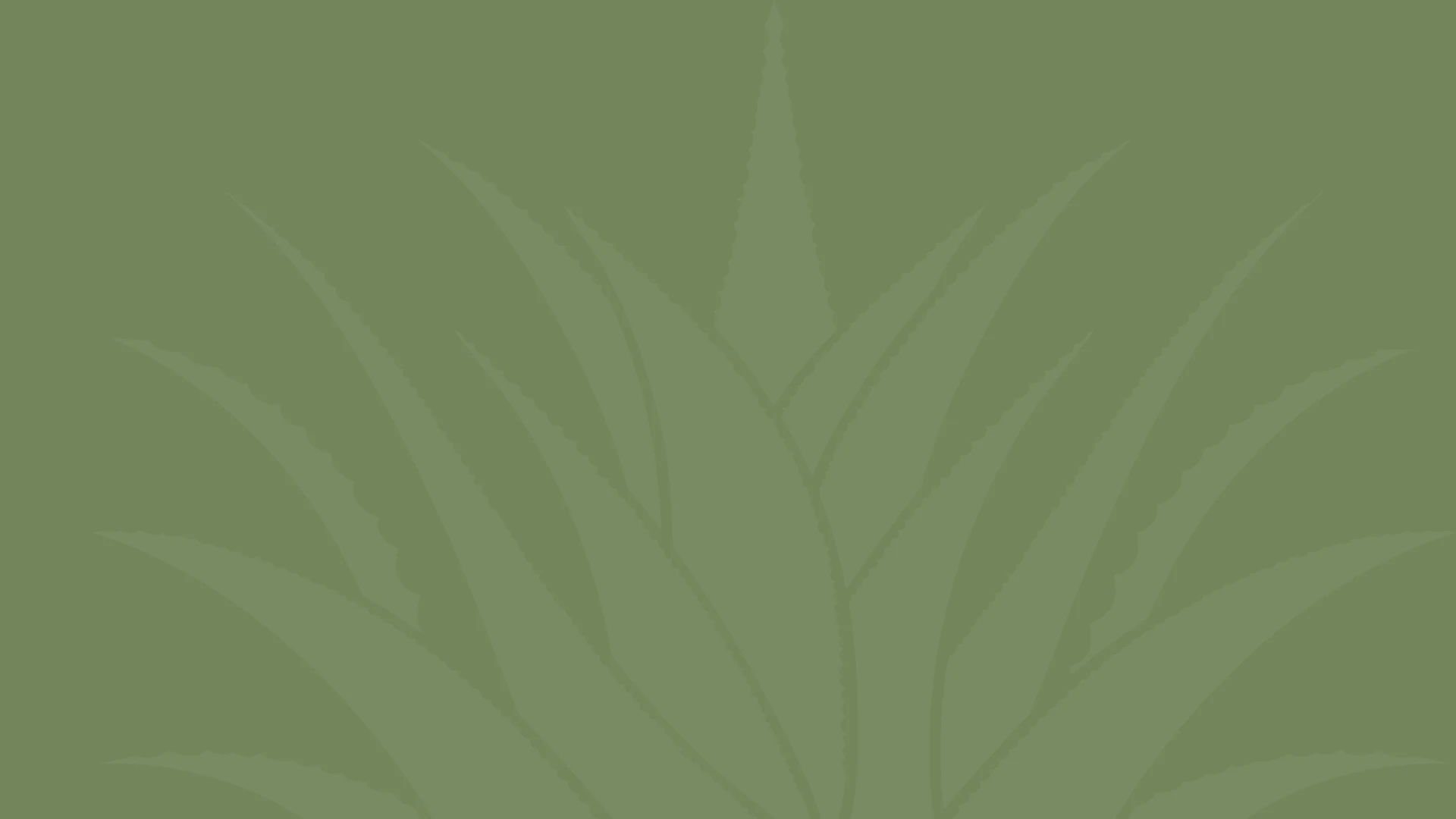 Естетична хірургія обличчя