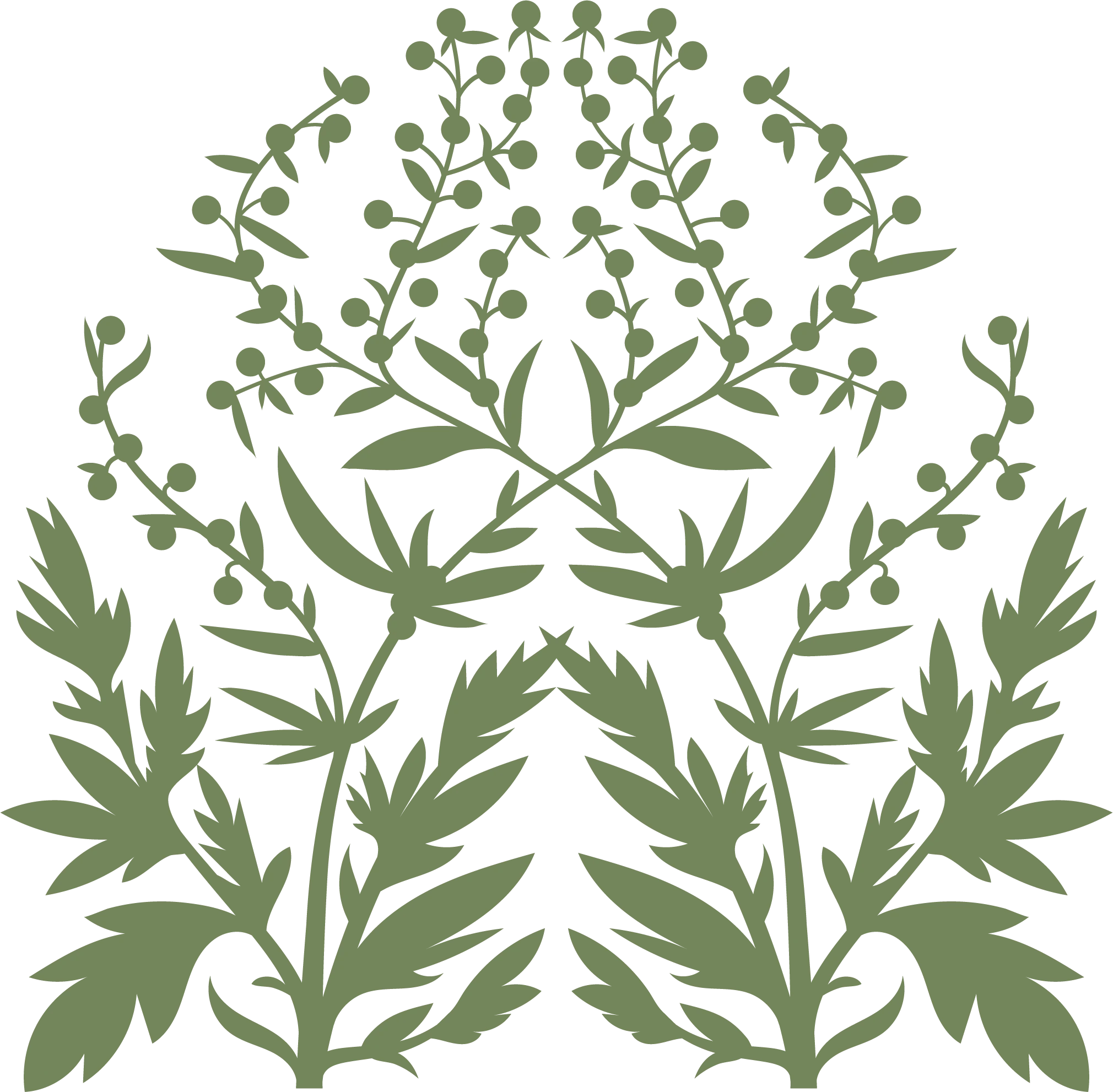 Комплексні обстеження